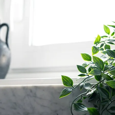 Panoramic Terrace Over - With Ac Апартаменты